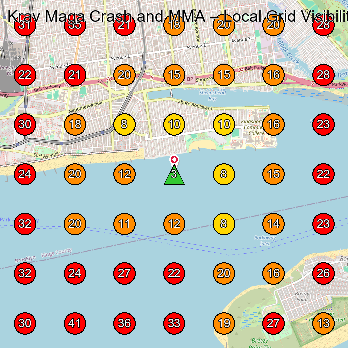 Krav Maga Crash and MMA GeoGrid visibility map for Self Defense School in Brooklyn